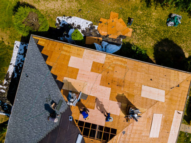 Best New Roof Installation  in Darrington, WA